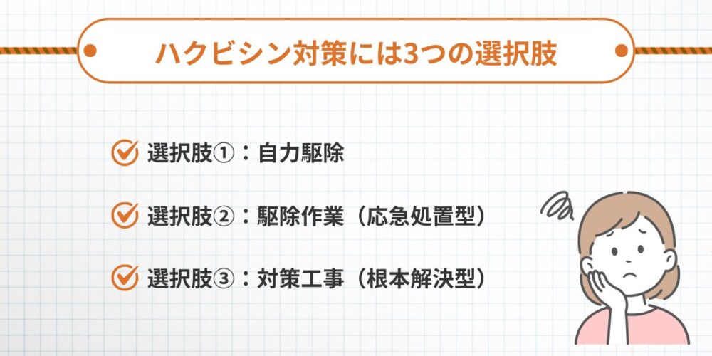 久留米ハクビシン‐3つの選択