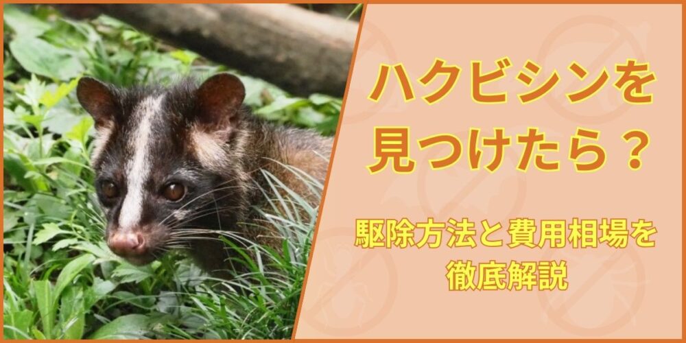 ハクビシンを見つけたら？駆除方法と費用相場を徹底解説