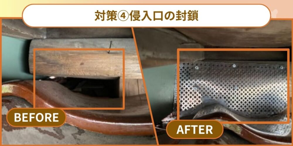 侵入口の封鎖　ハクビシン