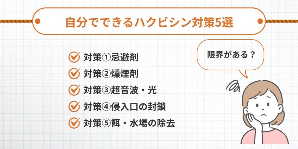 自分でできるハクビシン対策