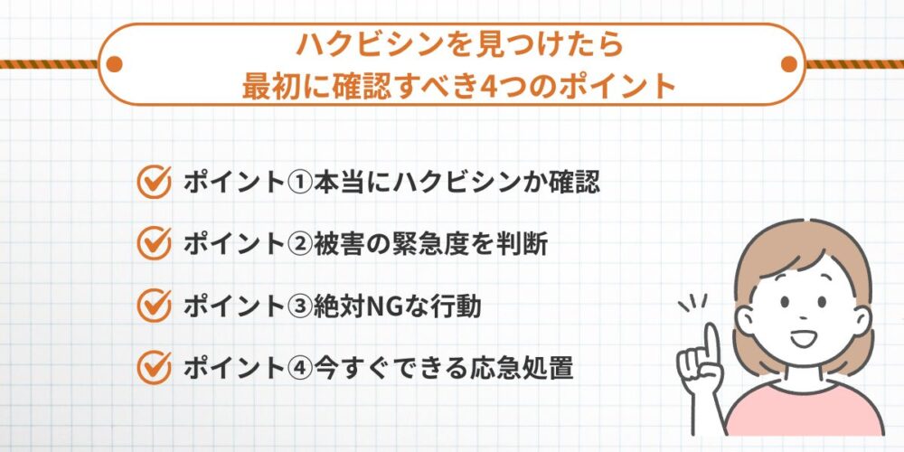 ハクビシンを見つけたら最初に確認