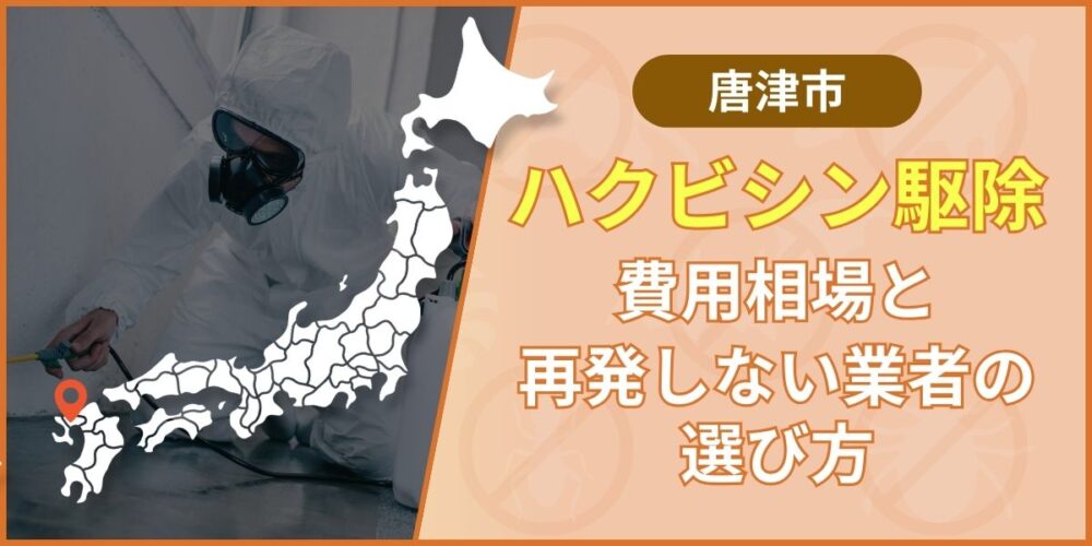 【唐津市】ハクビシン駆除費用相場と失敗しない業者の選び方を徹底解説