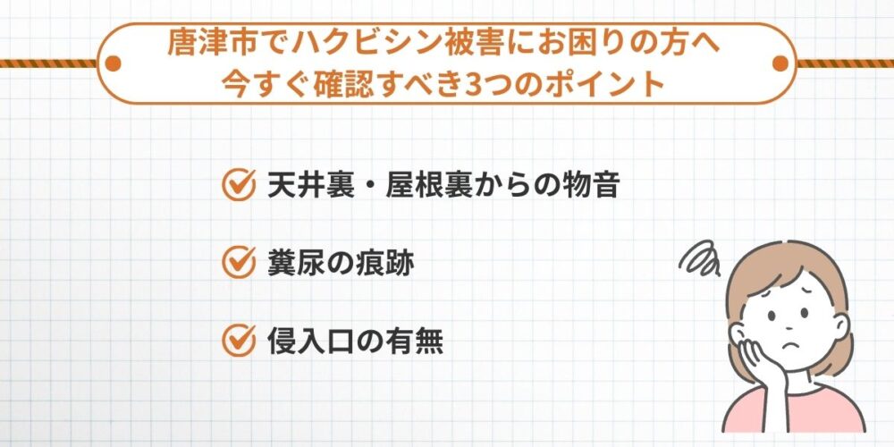 唐津市の住宅でハクビシンが天井裏から侵入する様子のイメージ