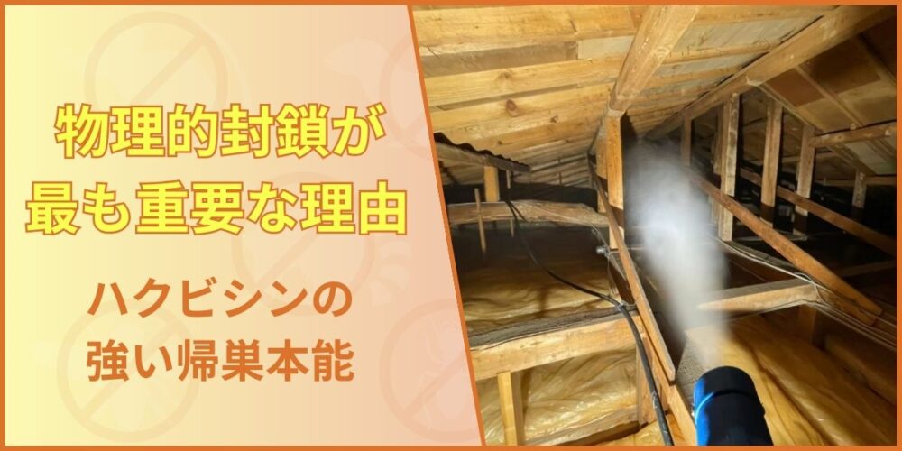 ハクビシンの帰巣本能と侵入口完全封鎖の必要性を示す図