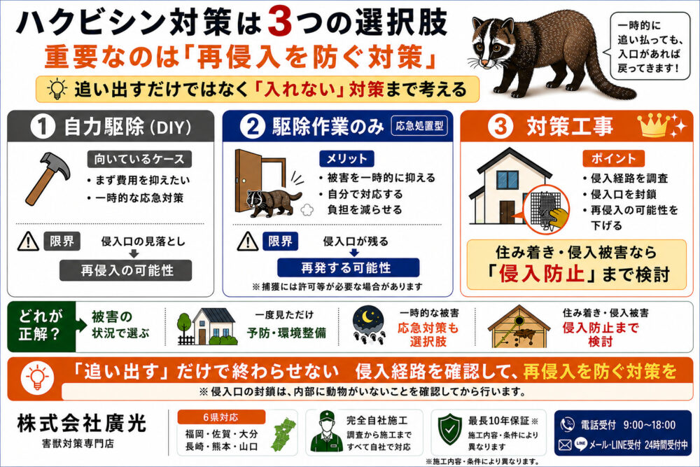 ハクビシン対策の3つの選択肢｜本当に必要なのはどれか