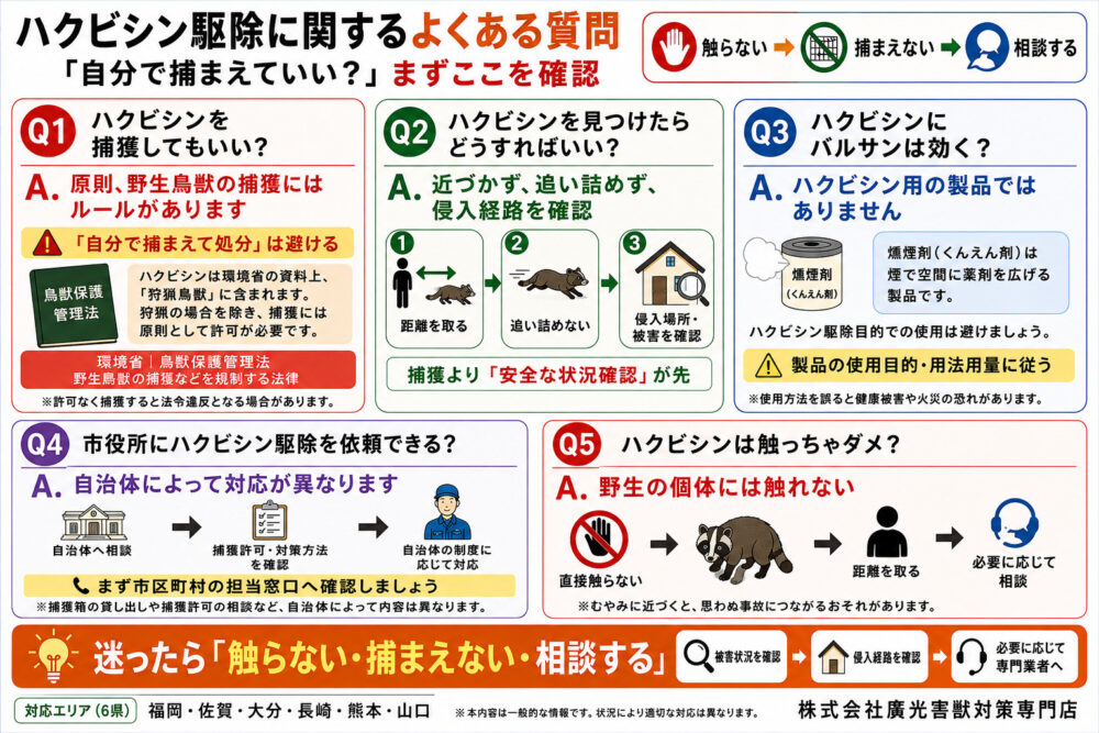 ハクビシン駆除に関するよくある質問