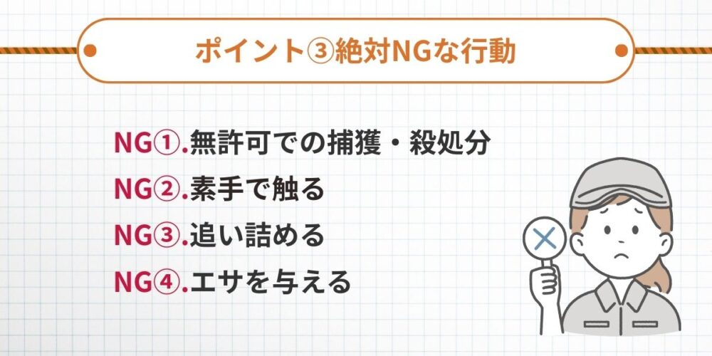 ハクビシンNG行動