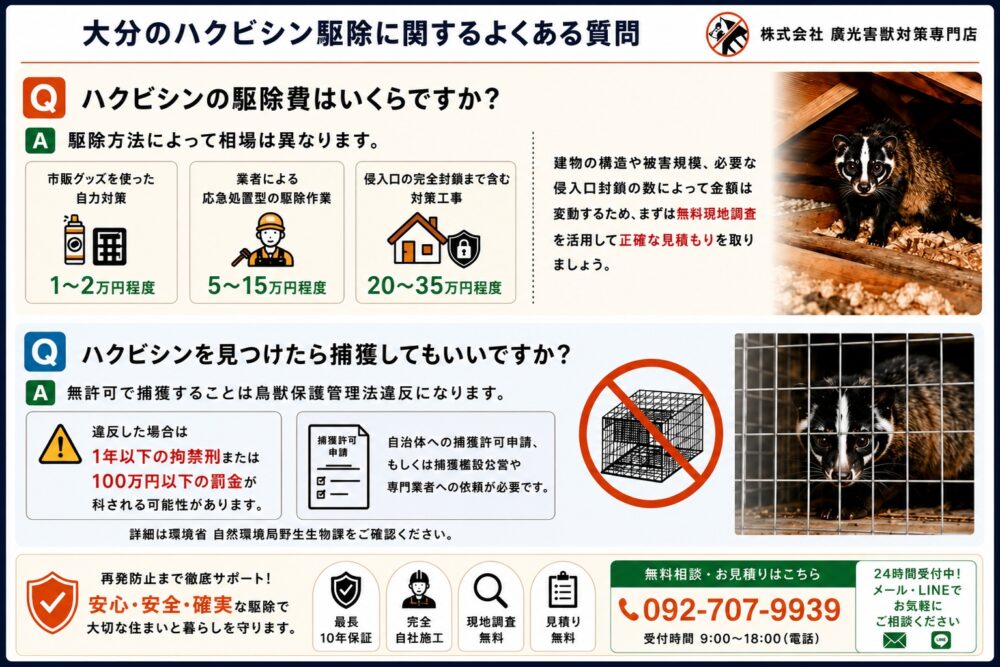 大分のハクビシン駆除に関するよくある質問