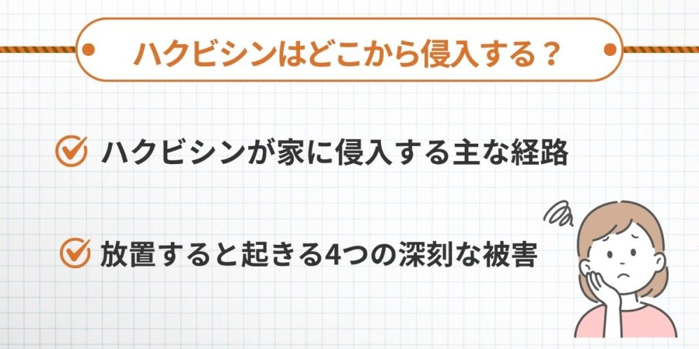 ハクビシンはどこから侵入する？放置で起きる4つの深刻被害