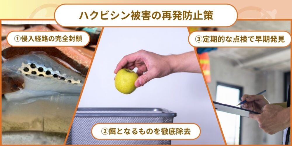 久留米ハクビシン‐再発防止