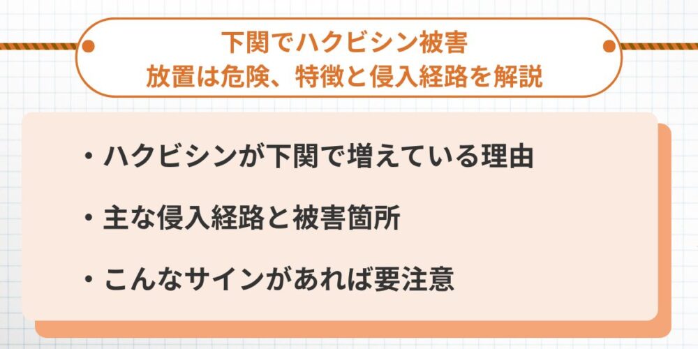 下関でハクビシン被害│放置は危険、特徴と侵入経路を解説