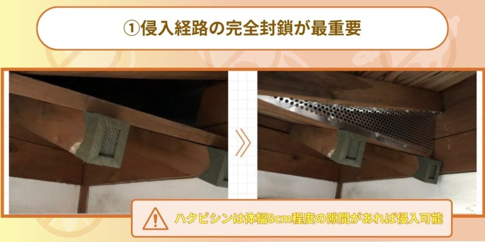 久留米ハクビシン‐侵入口封鎖