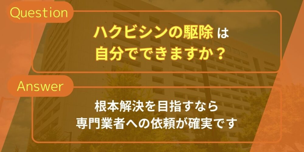 ハクビシンの駆除は自分でできますか？