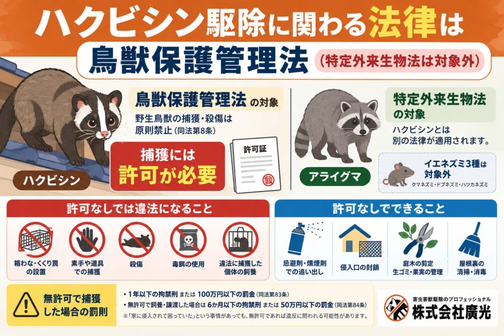ハクビシン駆除に関わる法律は鳥獣保護管理法【特定外来生物法は対象外】