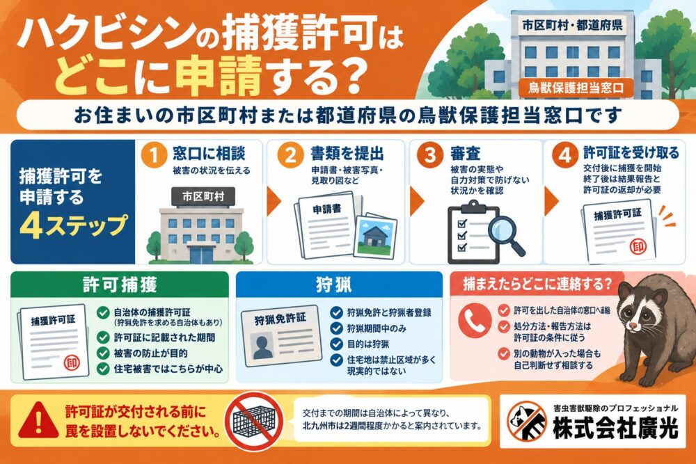 ハクビシンの捕獲許可について