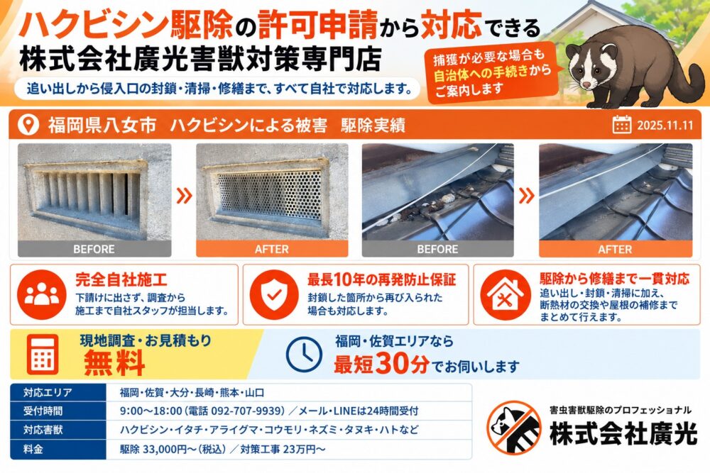 ハクビシン対策は廣光にお任せ！