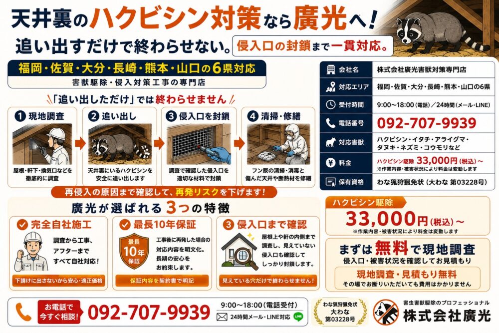天井裏のハクビシン対策なら株式会社廣光害獣対策専門店