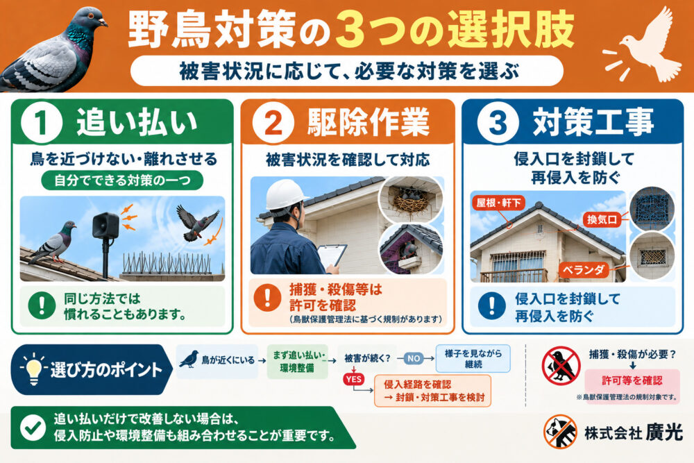 野鳥対策の3つの選択肢｜追い払い・駆除作業・対策工事