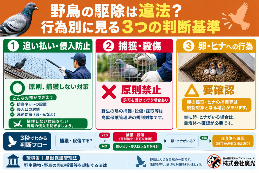 野鳥の駆除は違法？行為別に見る3つの判断基準