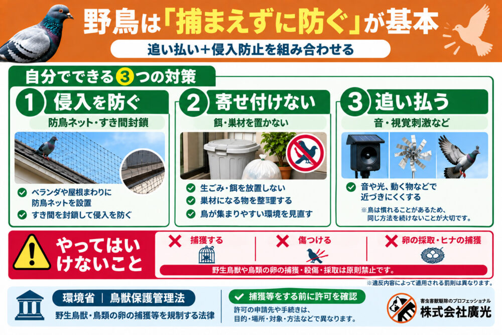 野鳥を自分で追い払う方法と注意点