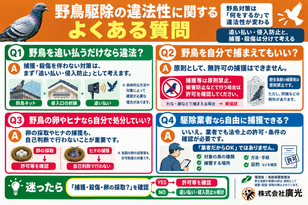 野鳥駆除の違法性に関するよくある質問