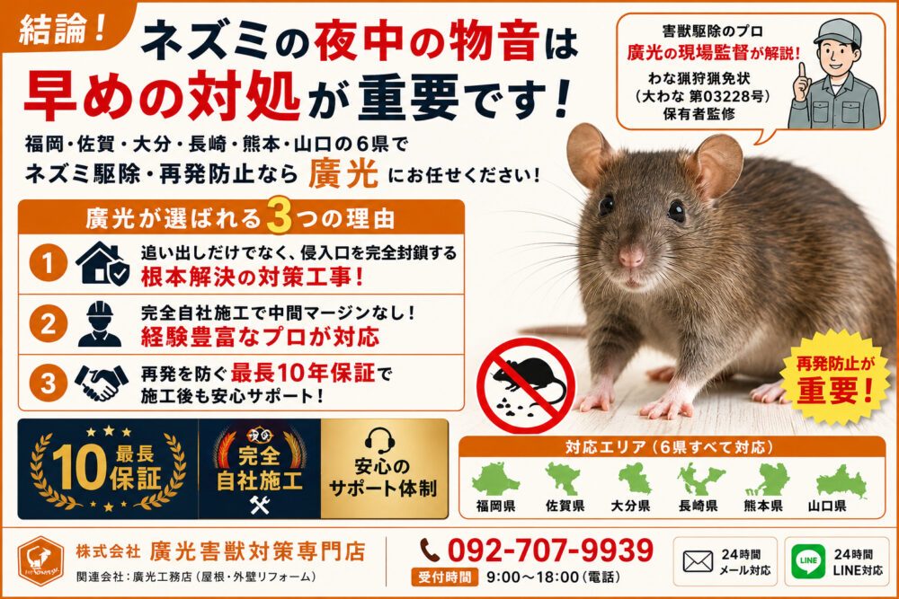 ネズミは夜行性？活動時間と昼間どこにいるか｜夜中の物音の正体を解説