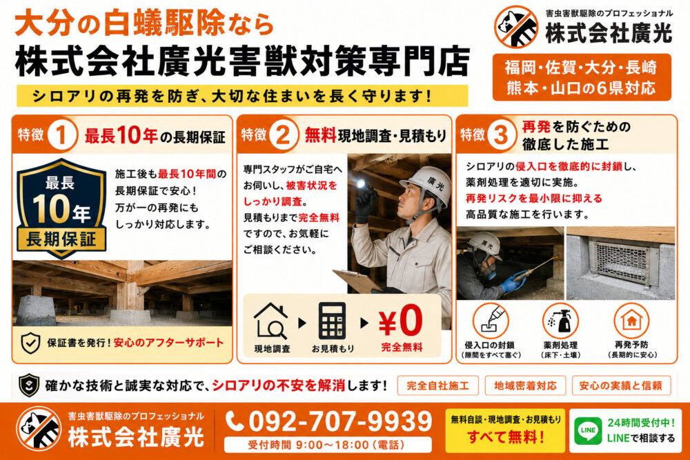 大分の白蟻駆除なら株式会社廣光害獣対策専門店