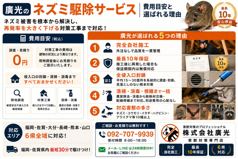 廣光のネズミ駆除サービス｜費用目安と選ばれる理由