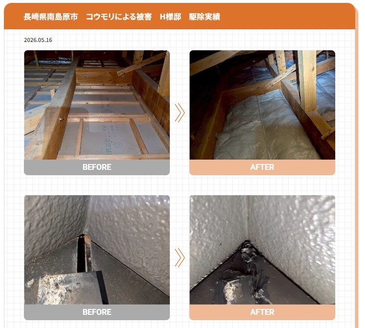 株式会社廣光害獣対策専門店　コウモリ　施工事例