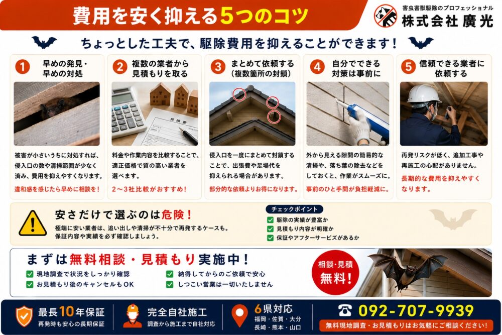 コウモリ駆除の費用を安く抑える5つのコツ