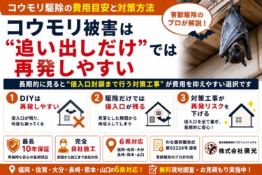 コウモリ駆除の費用目安と対策方法