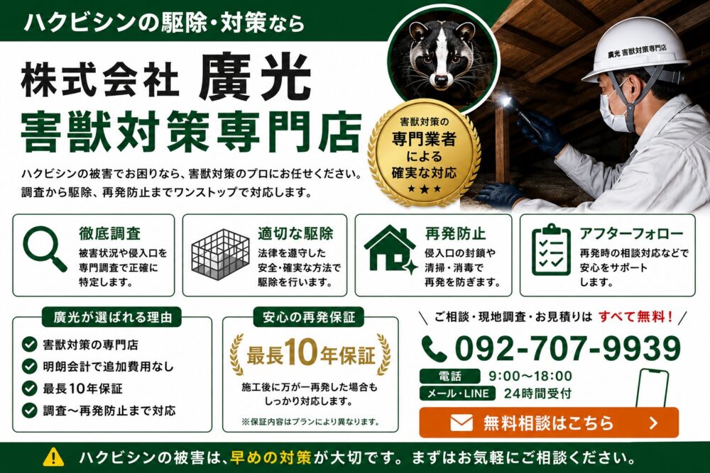 ハクビシンの駆除・対策なら株式会社廣光害獣対策専門店