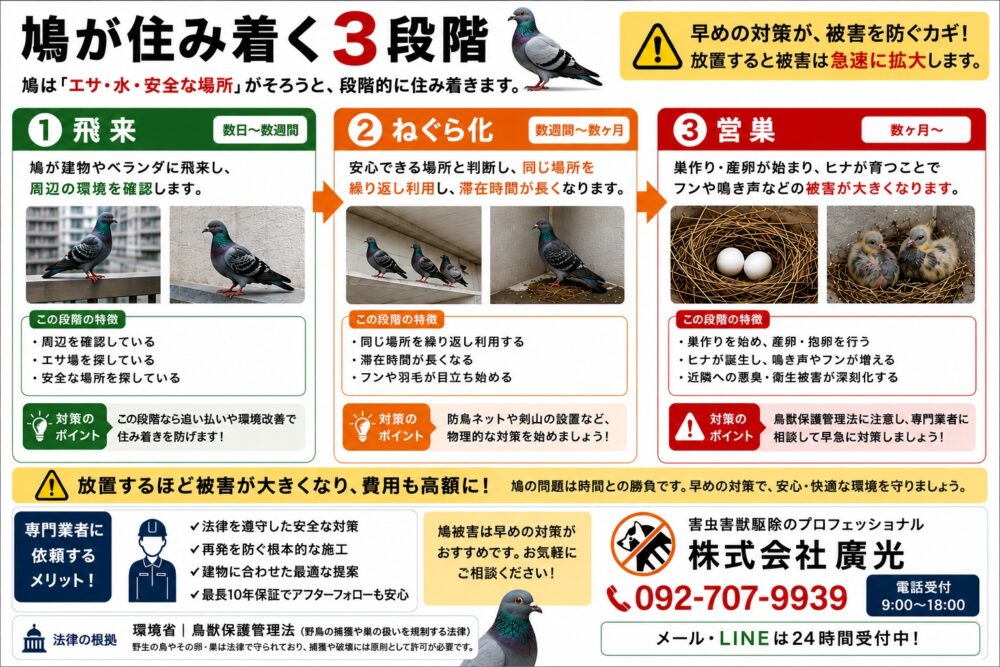 鳩（ハト）がベランダや室外機に来る理由