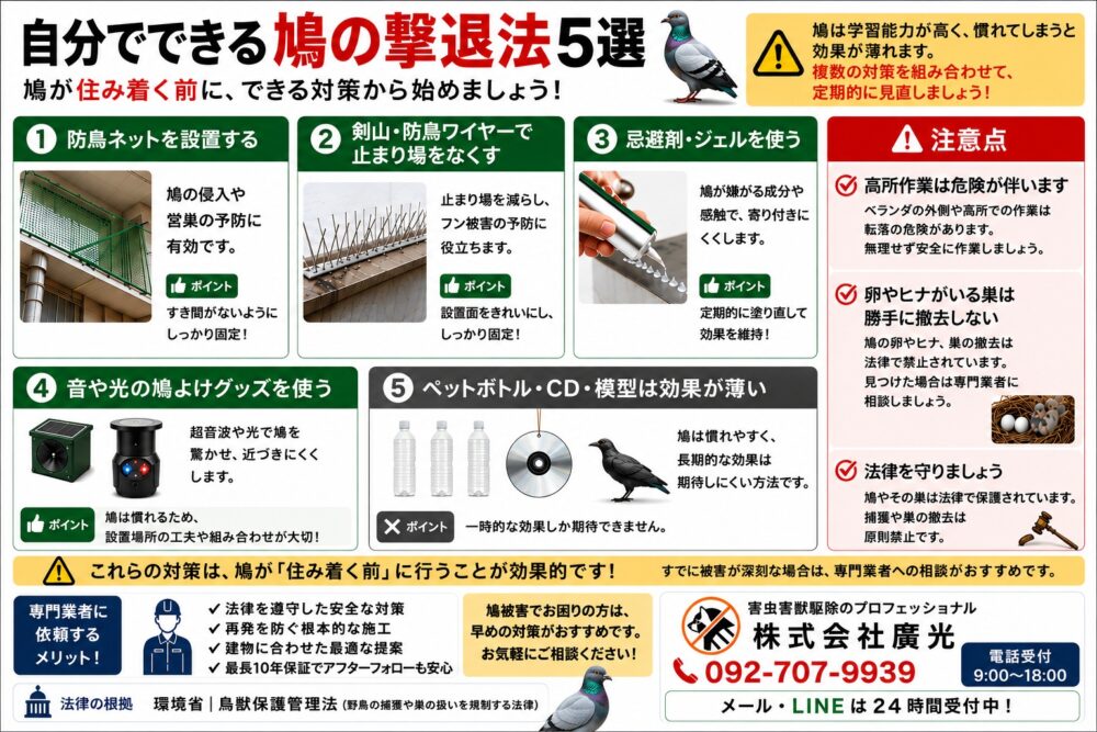 鳩（ハト）を追い払う方法5選｜自分でできる撃退対策