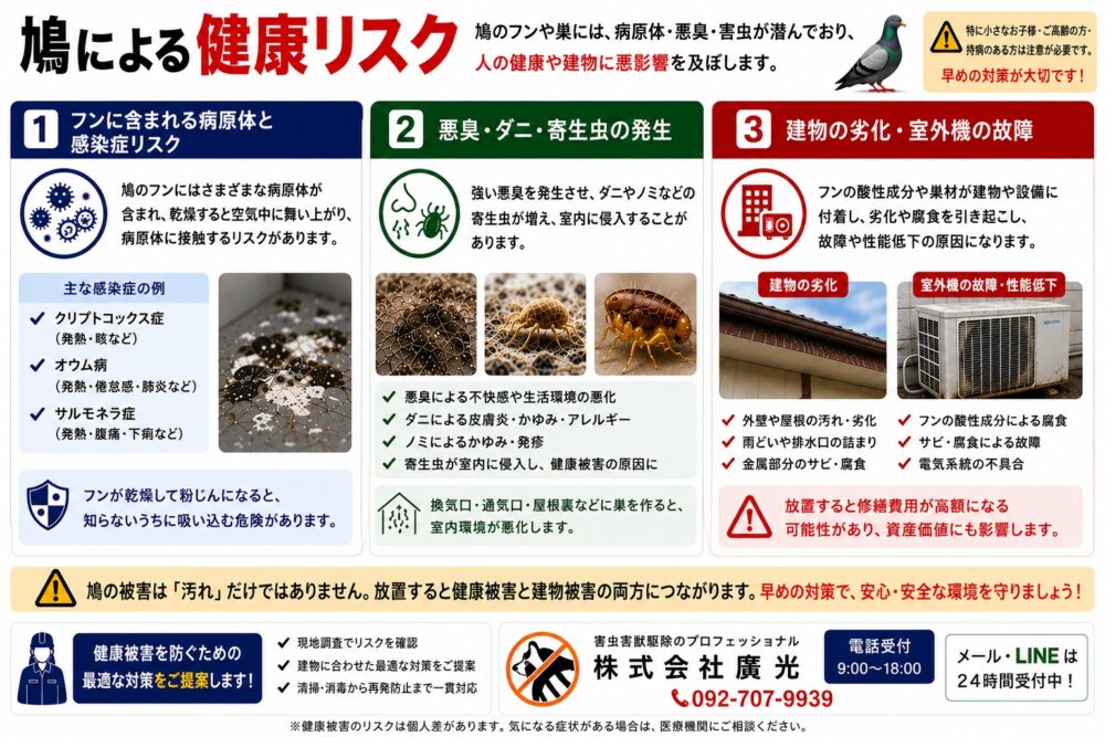 鳩（ハト）のフン被害が招く健康リスクと建物への影響