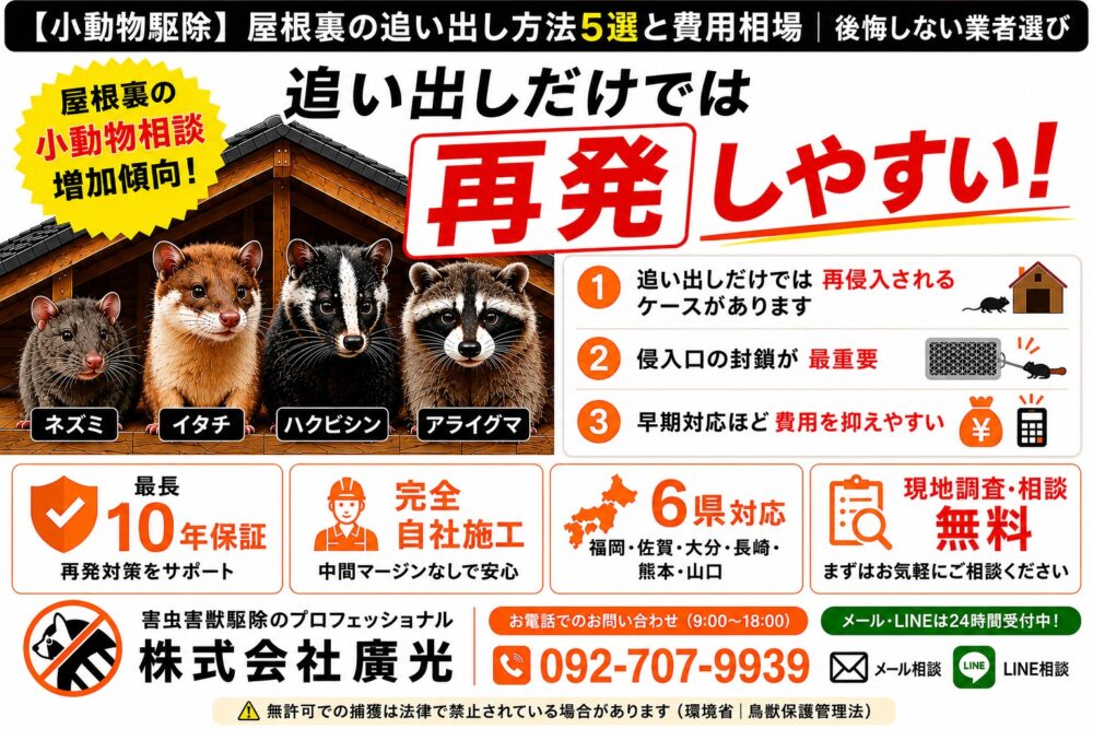 【小動物駆除】屋根裏の害獣費用相場と失敗しない業者の選び方
