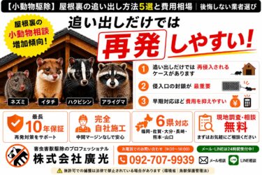 小動物駆除の方法