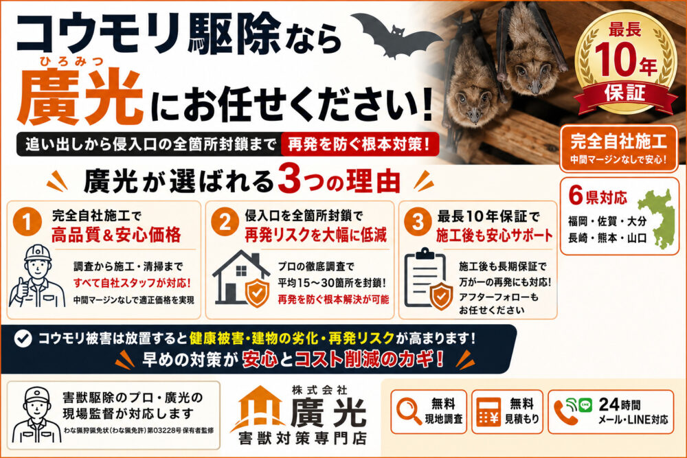 コウモリの巣はどこにできる？場所の特徴と見つけ方・再発させない対処法
