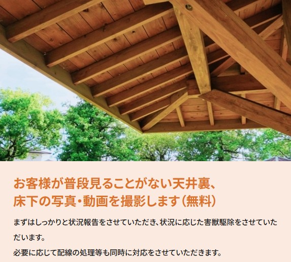 天井裏、床下の写真・動画を無料撮影