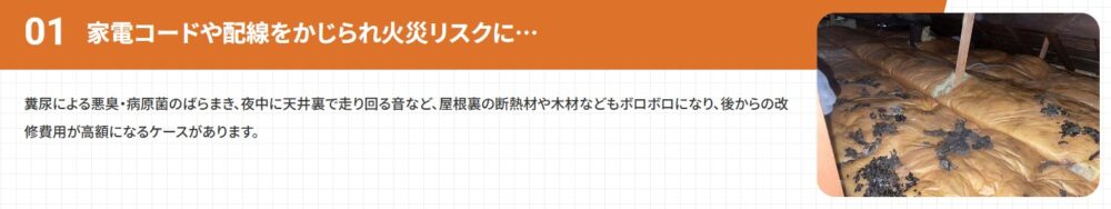 廣光害獣駆除　糞尿清掃
