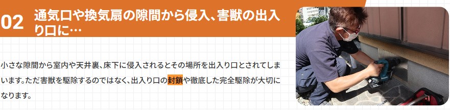 廣光害獣駆除専門店 封鎖工事