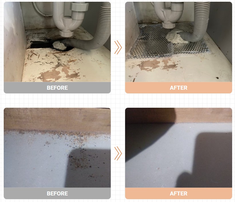 廣光 ネズミ駆除 実例