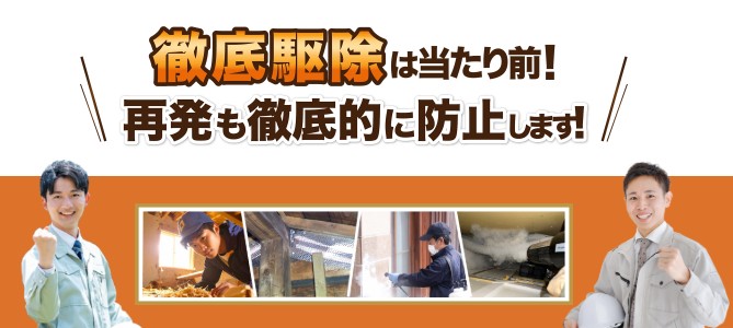 株式会社廣光害獣対策専門店　徹底駆除