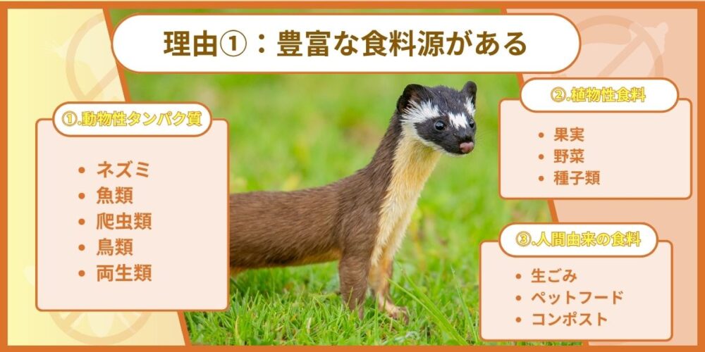 豊富な食糧源がある