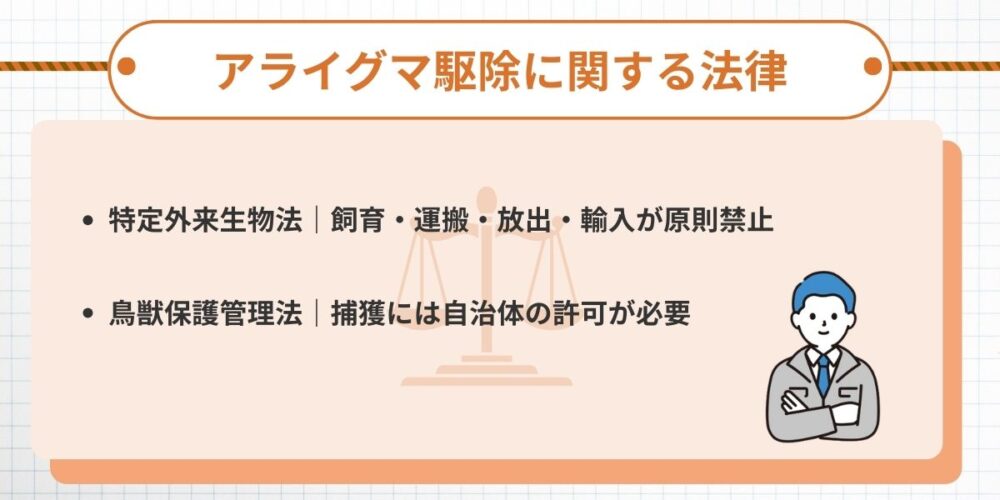アライグマ駆除に関する法律