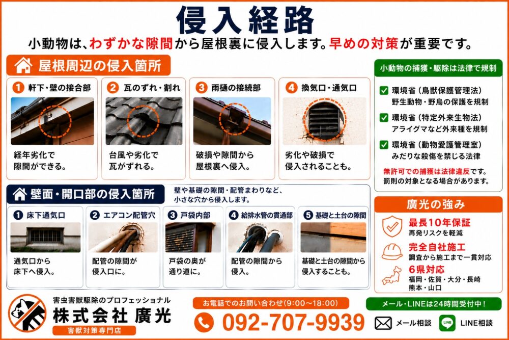 小動物の侵入経路