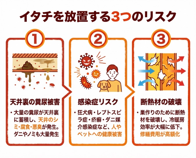 イタチを放置する3つのリスク｜悪臭・ダニ大量発生・天井腐食