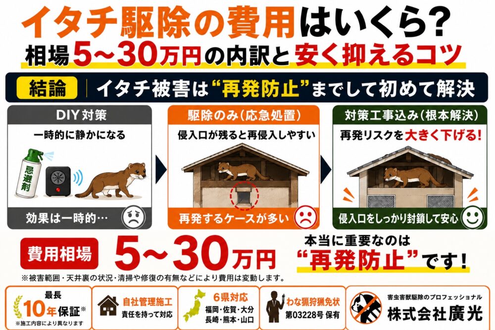 イタチ駆除の費用はいくら？相場5〜30万円の内訳と安く抑えるコツ