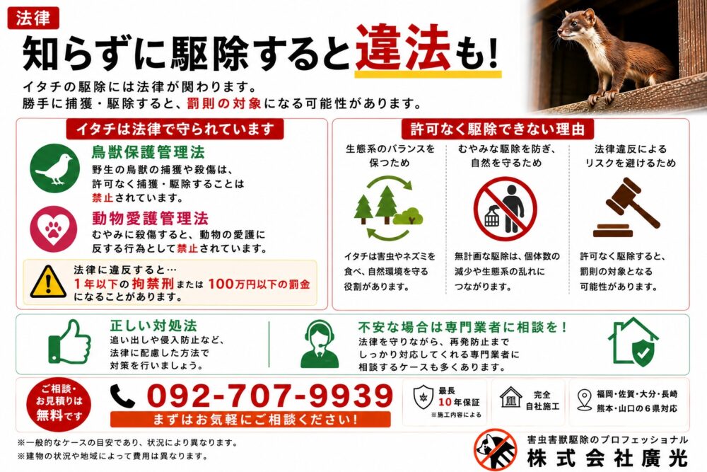 イタチ駆除の法律