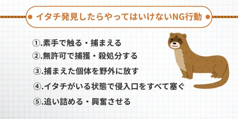 イタチ‐NG行動